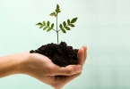 3 start-ups françaises du moment à découvrir image