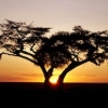Un continent oublié : l’Afrique image