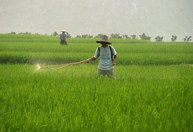 La Chine fait flamber les prix agricoles image