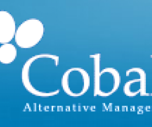 Interview des fondateurs de Cobalt Alternative