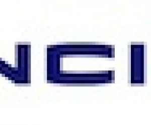 Vinci injustement sanctionné ?