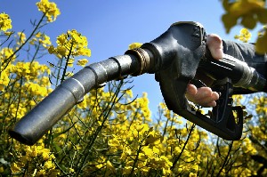 La hausse du cours des commodities va continuer