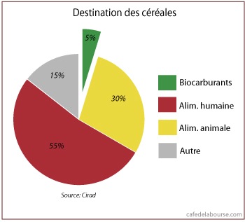 Les causes profondes de la flambée du prix des céréales