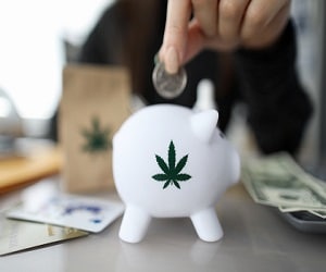 Comment investir dans le cannabis ? Analyse de ce placement controversé