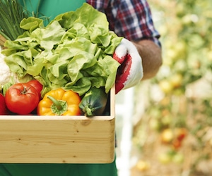 Investir dans une alimentation eco responsable avec le fonds Thématique Pictet Nutrition