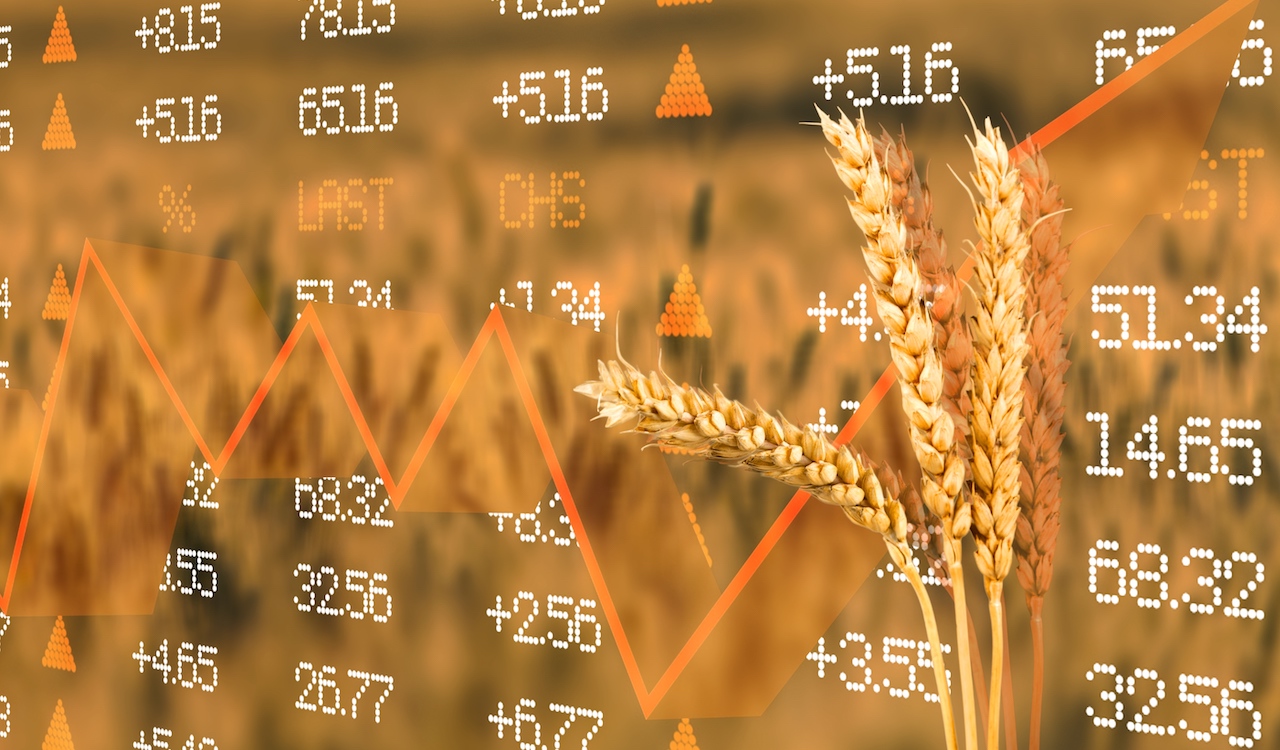 Inflation du prix des matières premières agricoles : les sociétés gagnantes et perdantes en Bourse