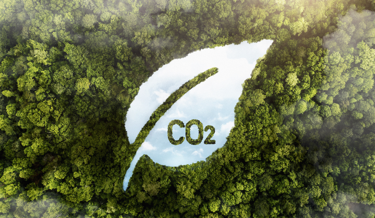 Pourquoi et comment investir dans les contrats carbone ?