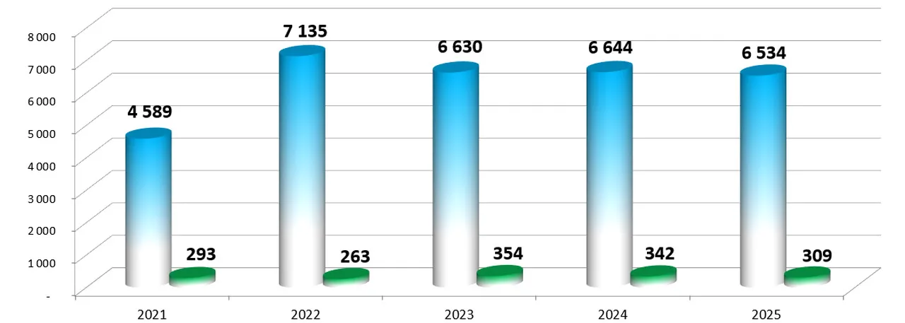 action-Rubis-Diagramme-Chiffre-affaires-Benefices-5-ans-octobre-2026